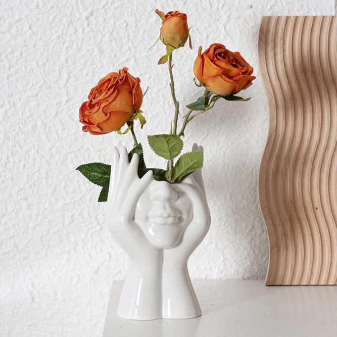 Aesthetic Face Vase™